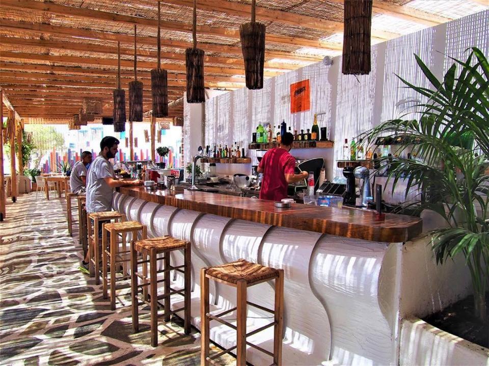 Cactus Paros Logaras