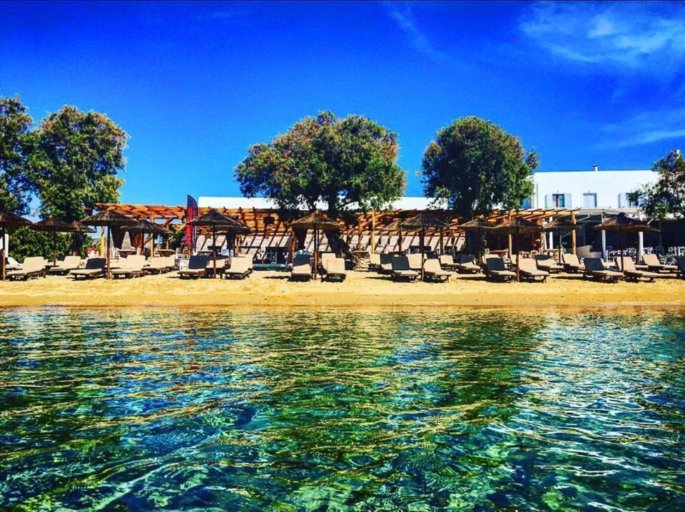 Cactus Paros Guest house 2*