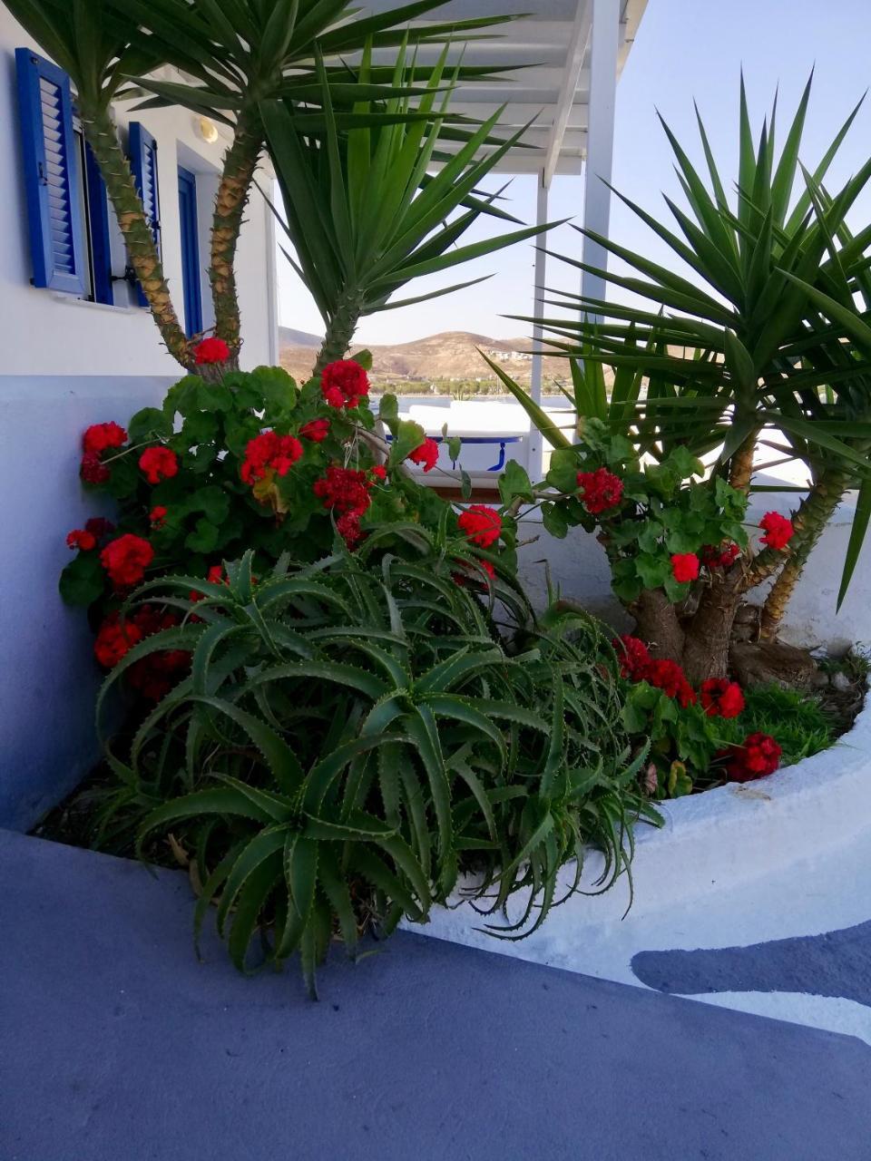 Pounti Livadi (Serifos)