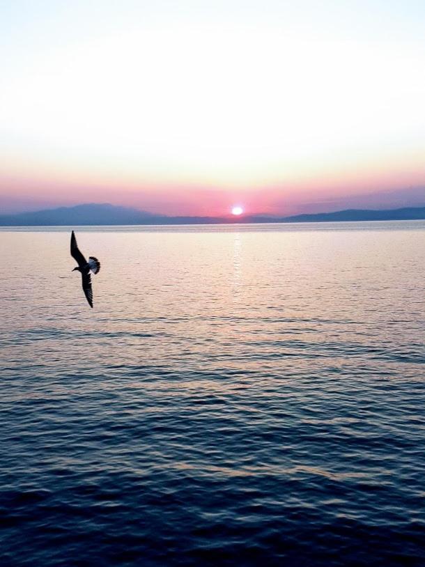 Haus Elena Aparthotel Kavala