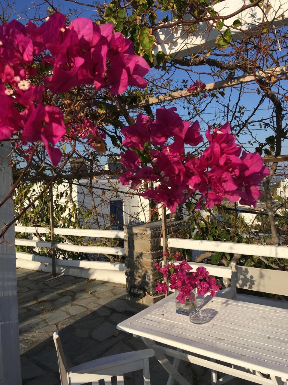 Stefano Apartment