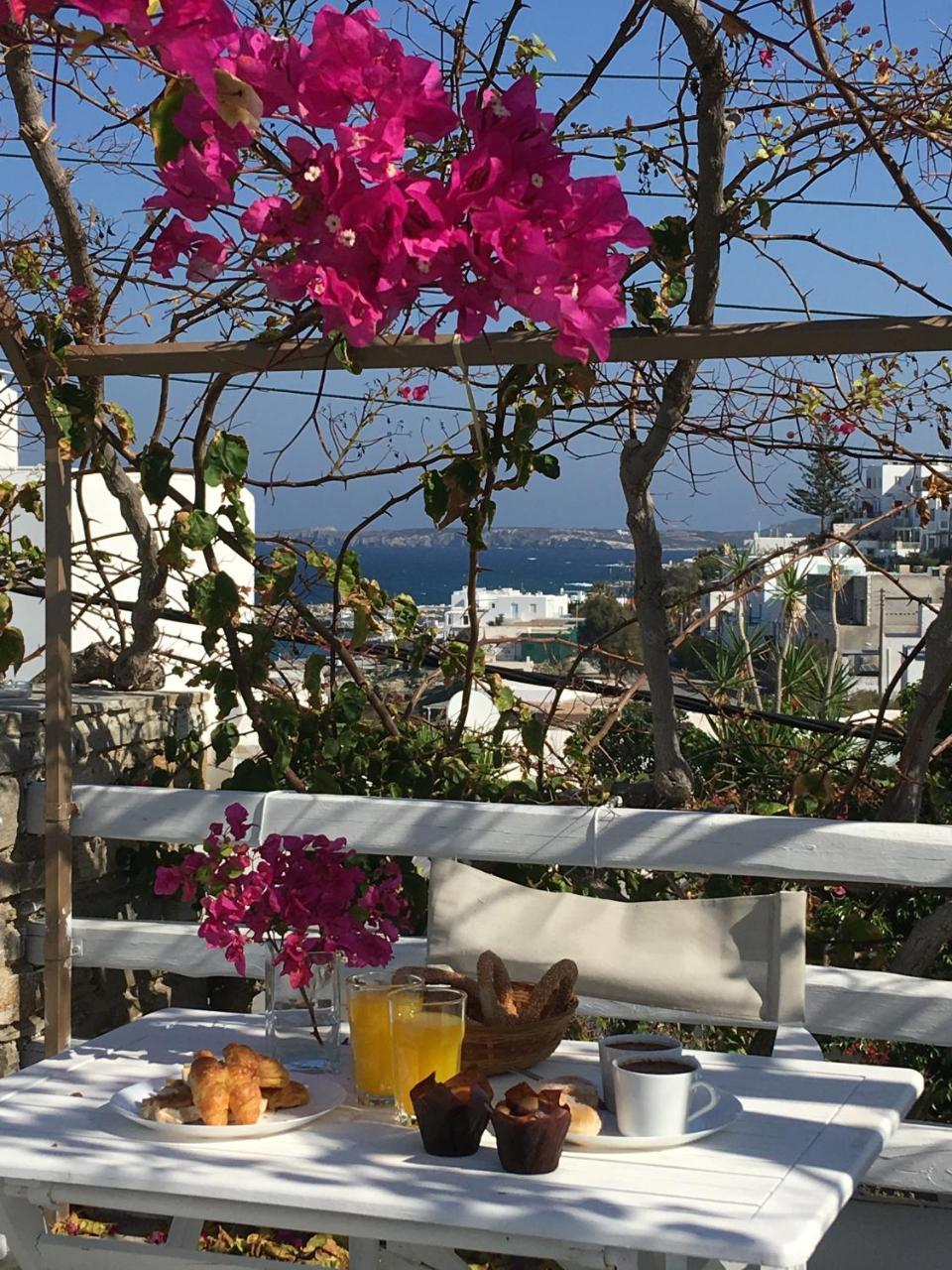 Stefano Apartment Naousa (Paros)