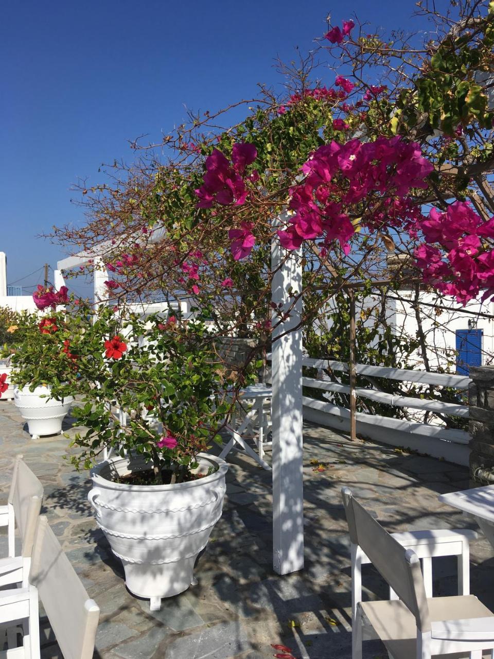 Apartment Stefano Naousa (Paros)