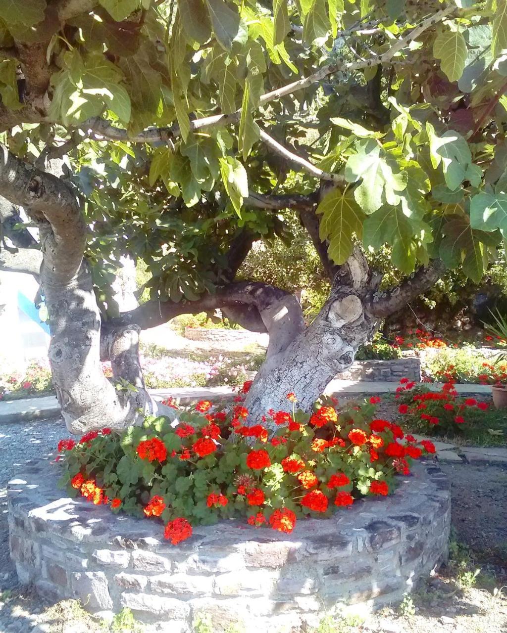Enalion Agios Ioannis Kaspaka
