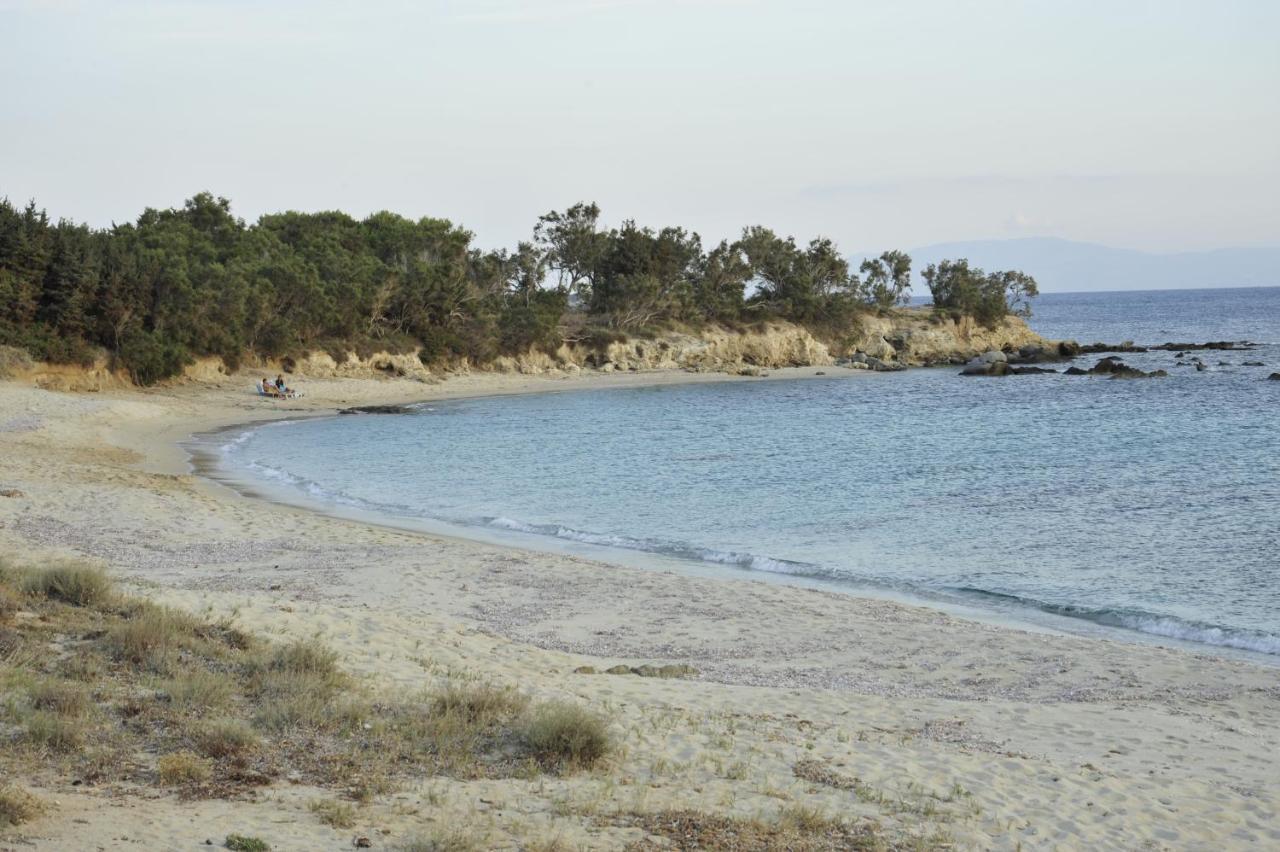 Aparthotel Scala Kastraki (Naxos)