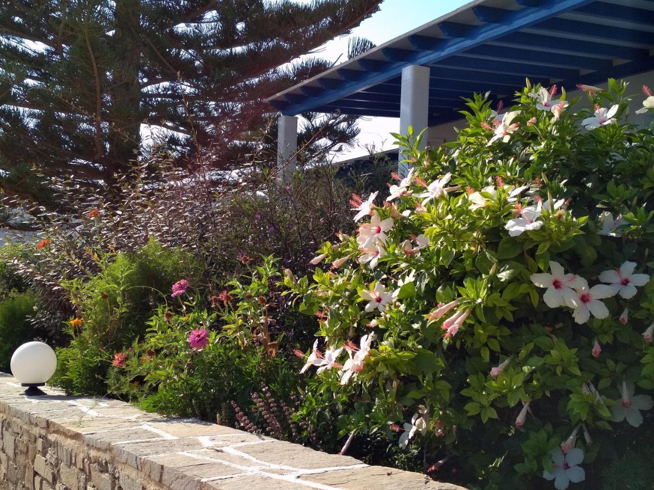 Guest house Kounados 3*