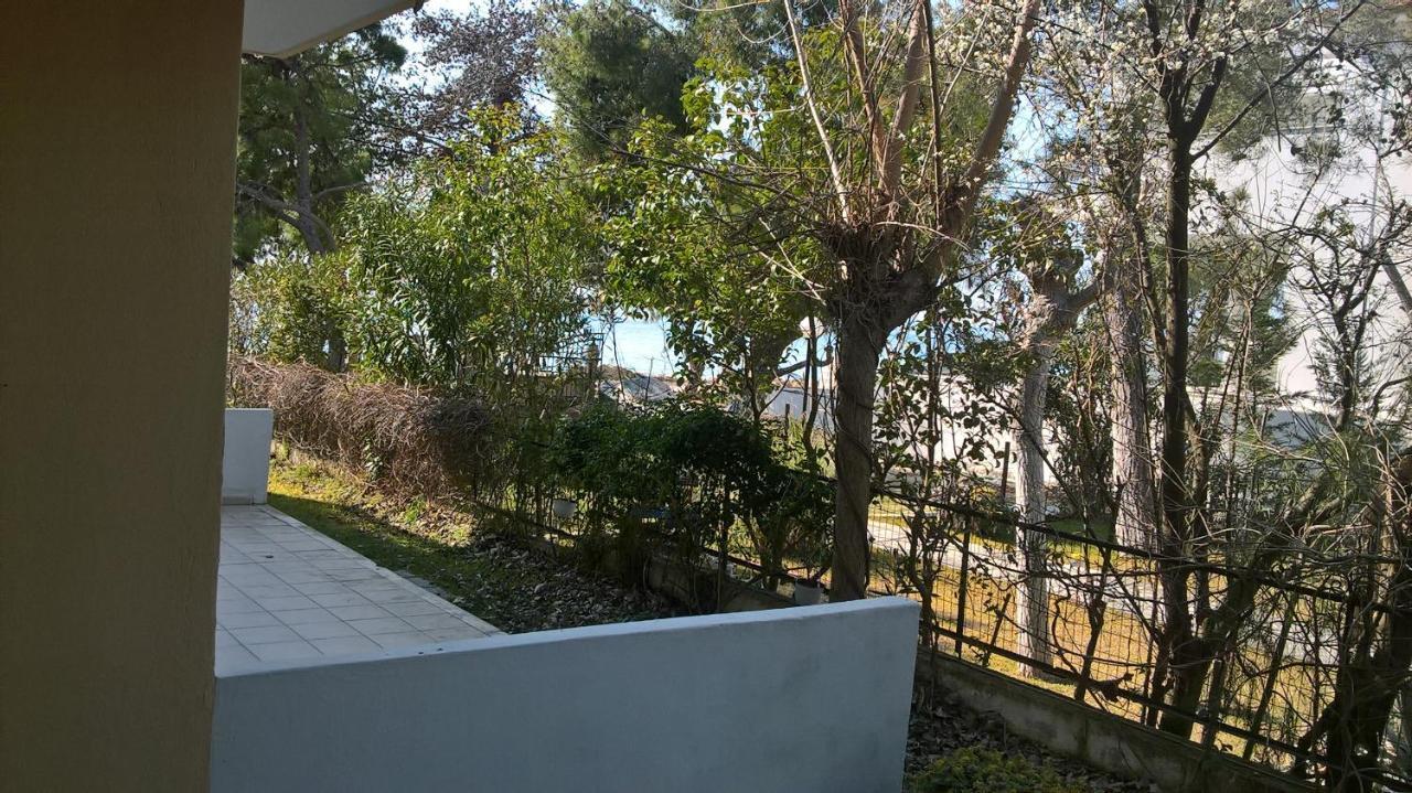 Apartment House Anna Nikiti (Sithonia)