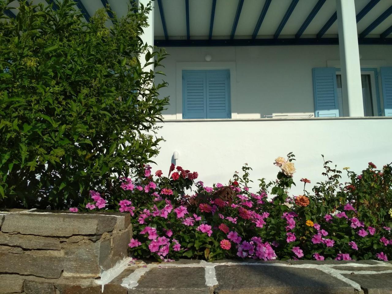 Guest house Kounados
