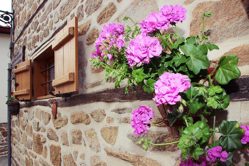 Hotel Aristotelis Traditional