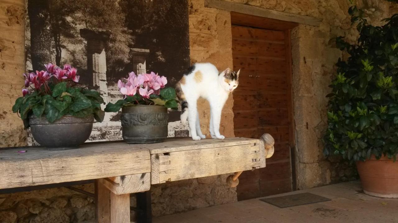 Villa Feia Katakolo