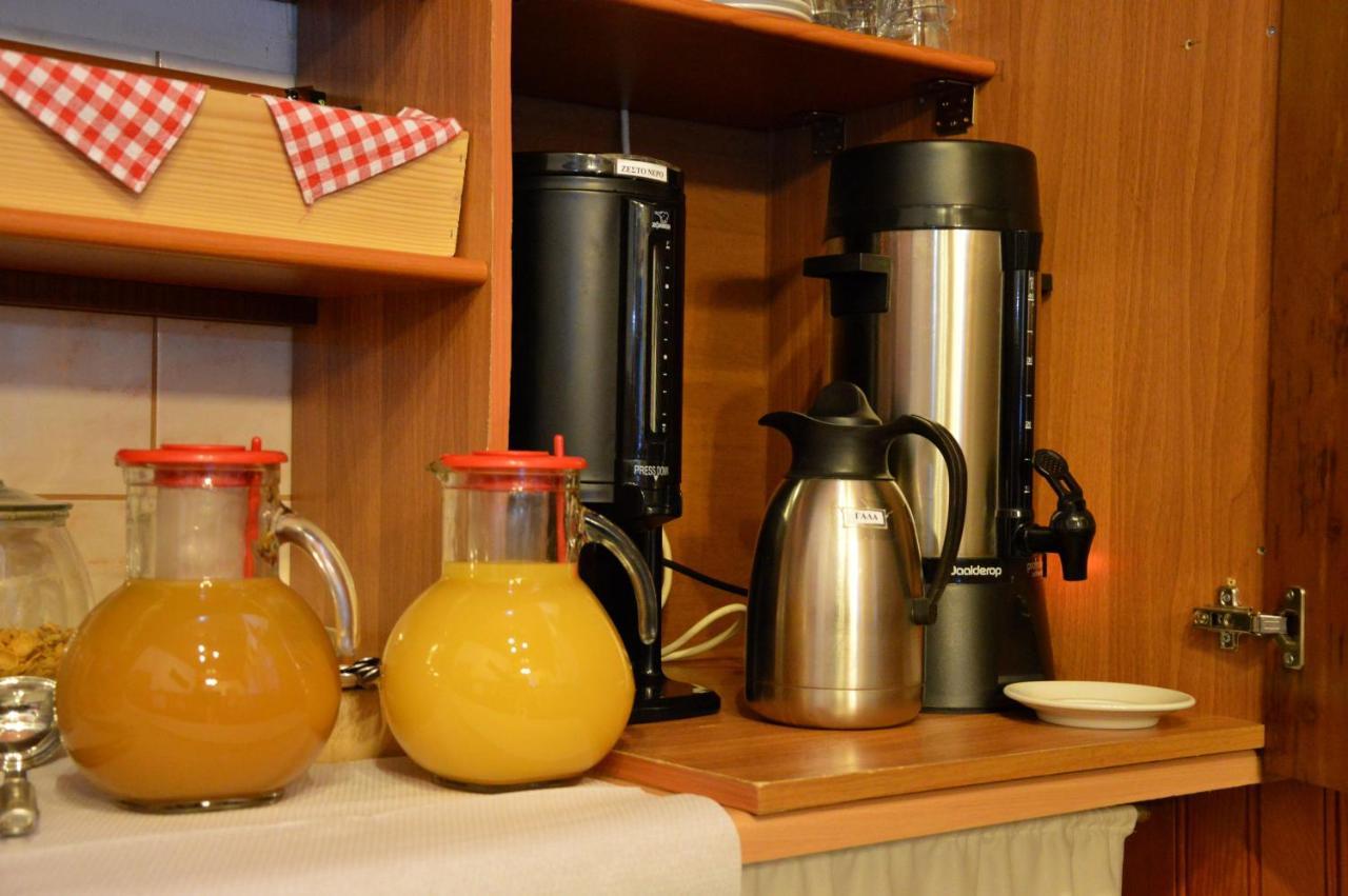 Hotel Adonis Metsovo