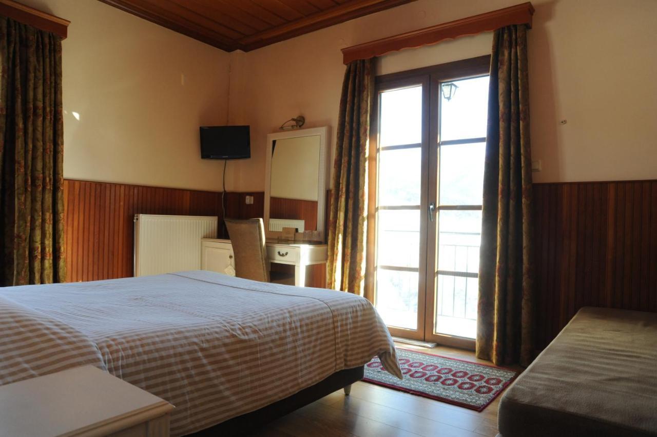 Hotel Olympic Metsovo