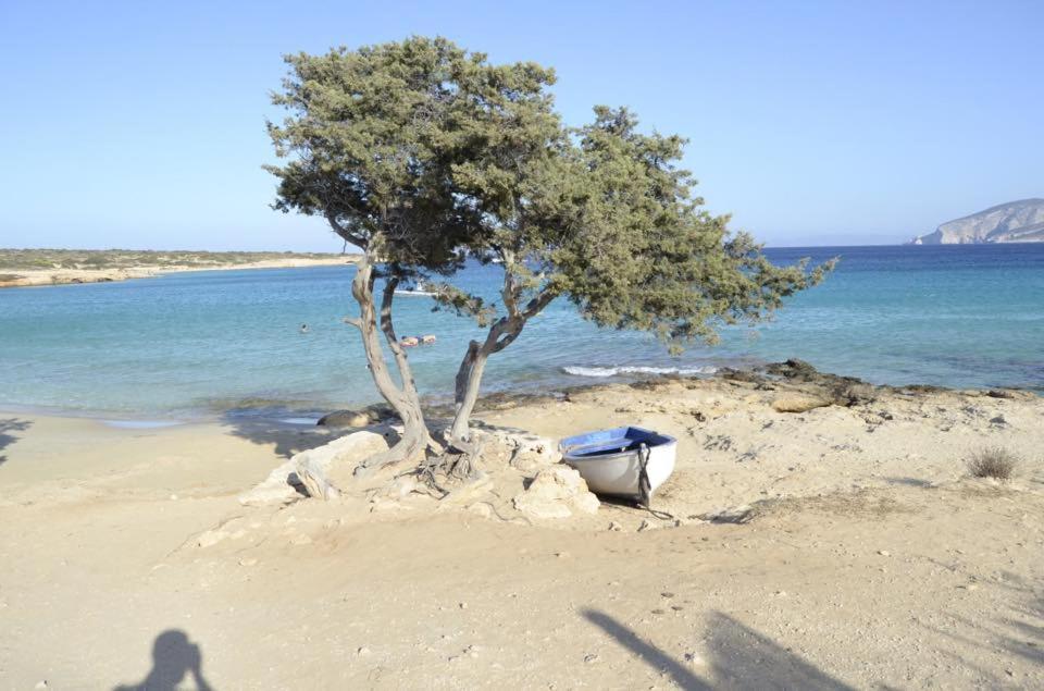 Fanos Koufonisia