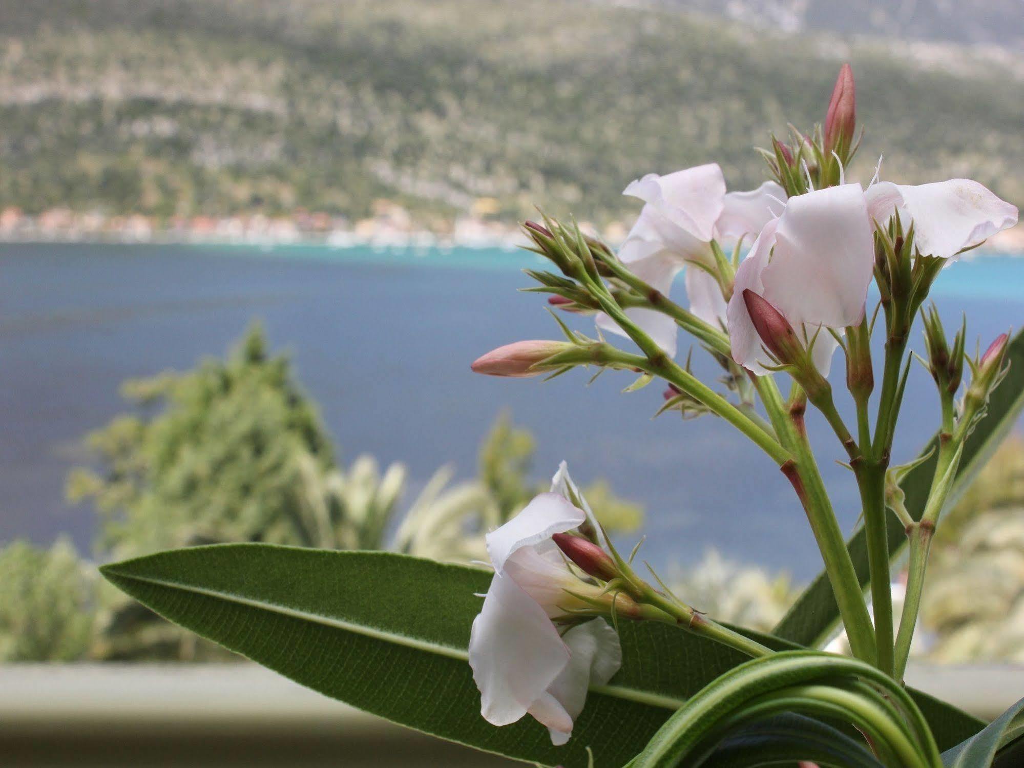 Aparthotel Cleopatra Beach