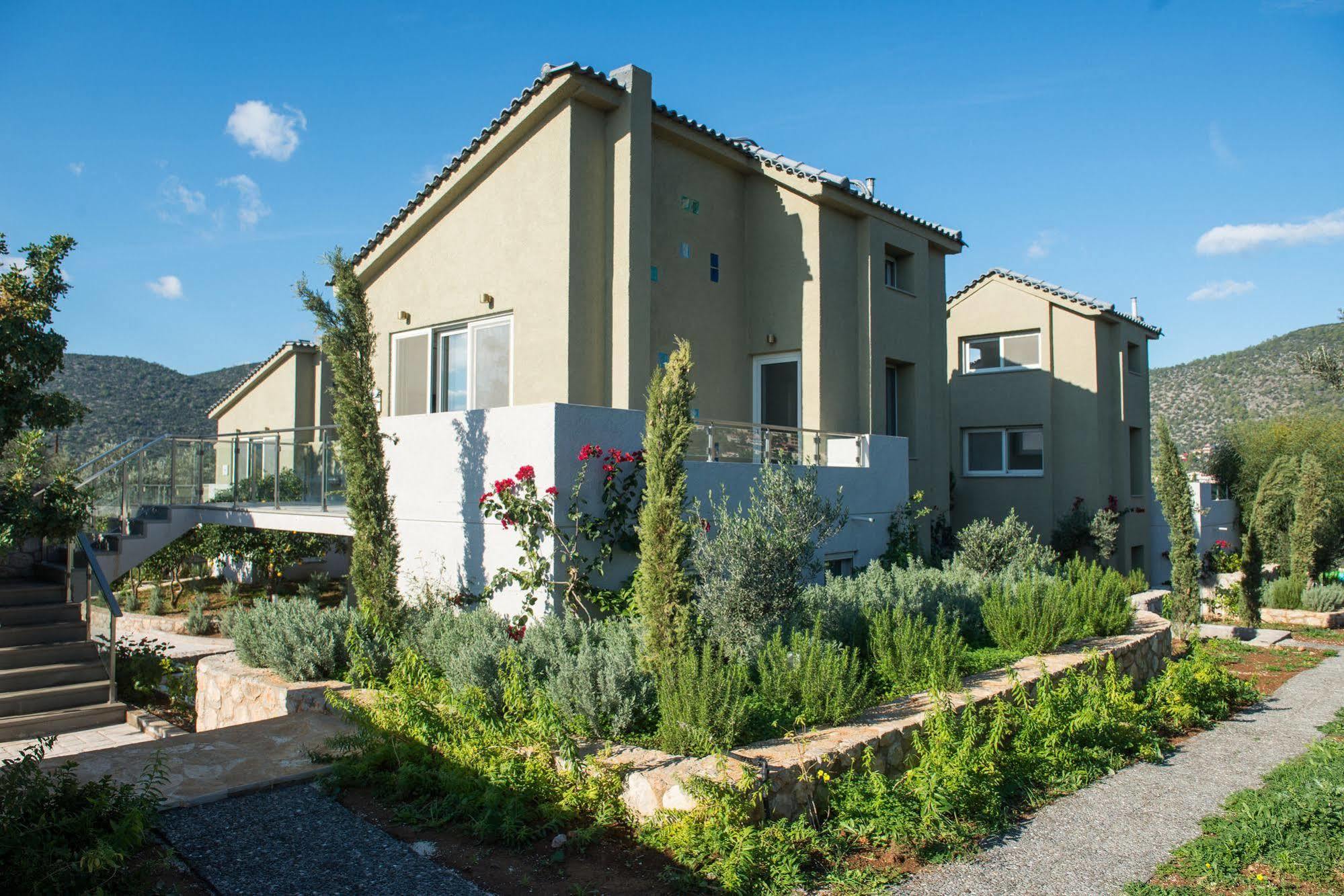 Lavender Cove Korfos