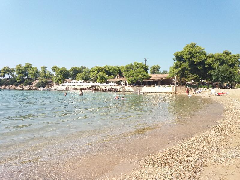 Sunny Place Resort