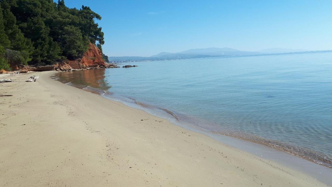 Sithonia Alekos Luxury Experience *