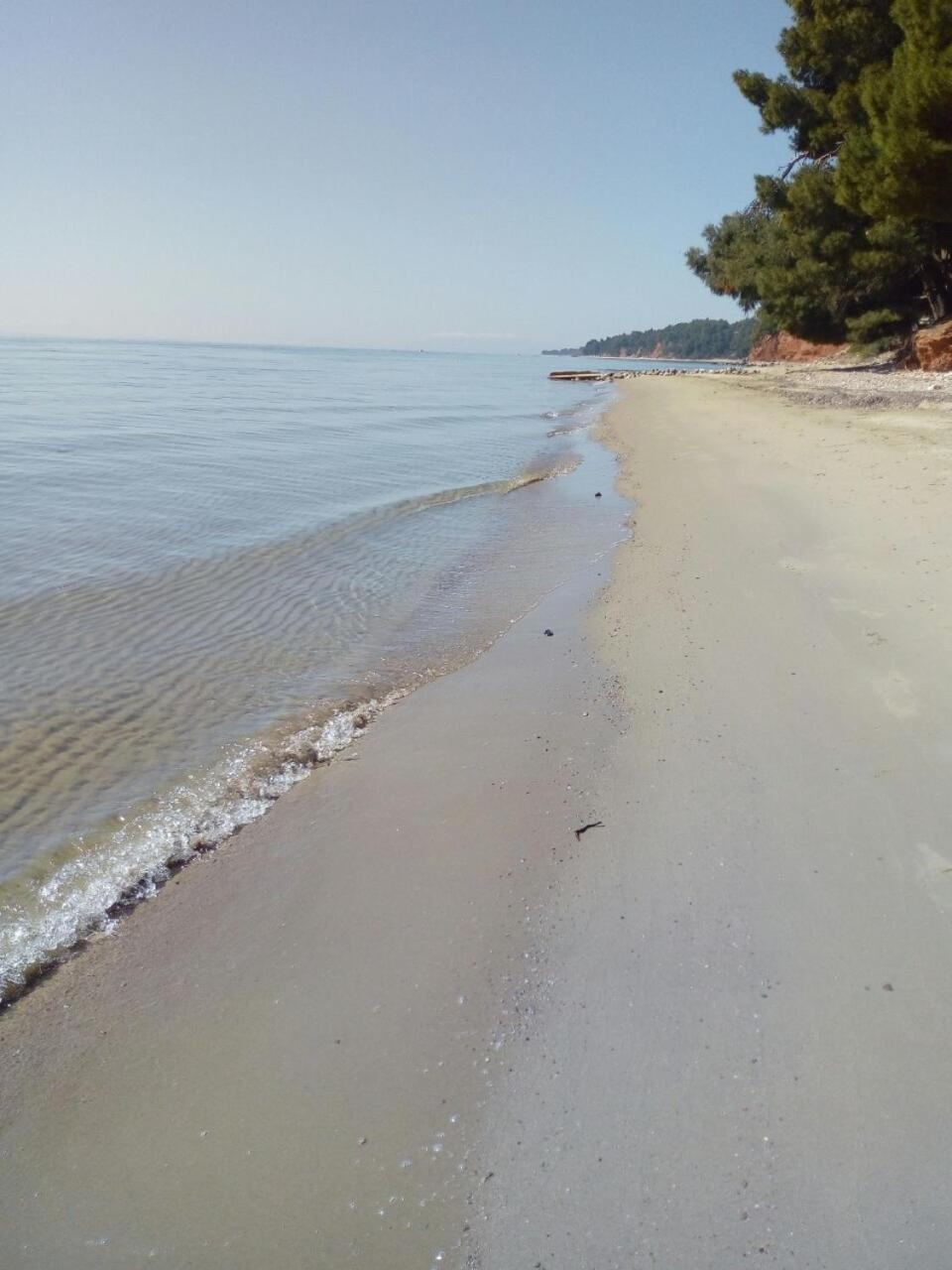 Sithonia Alekos Luxury Experience