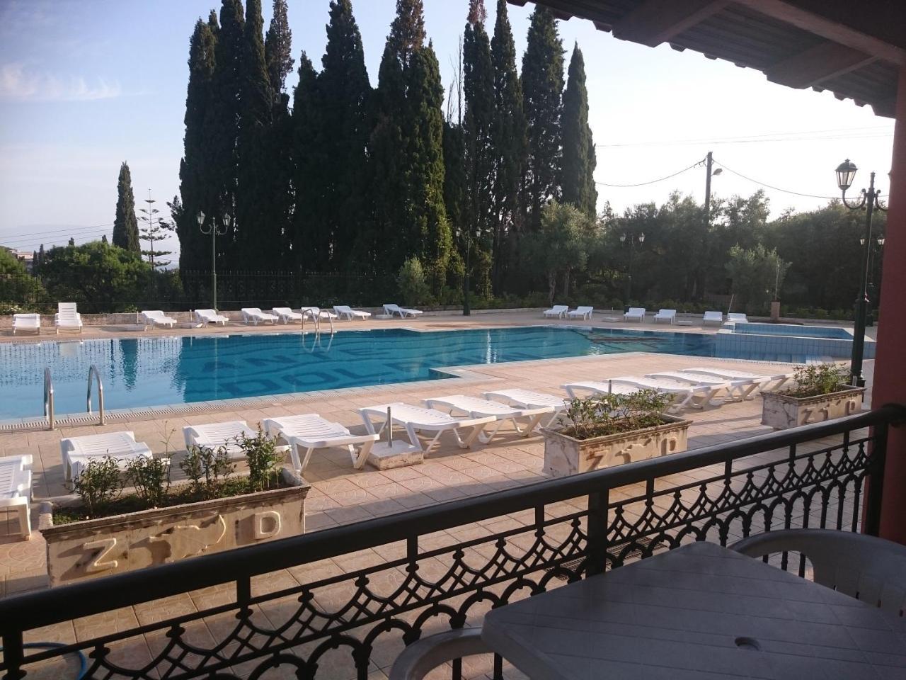 ζante Dolphin Alykes (Zakynthos)