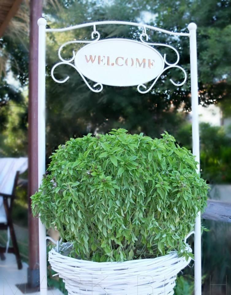 Apartment Mamma's Cooking Skiathos Town