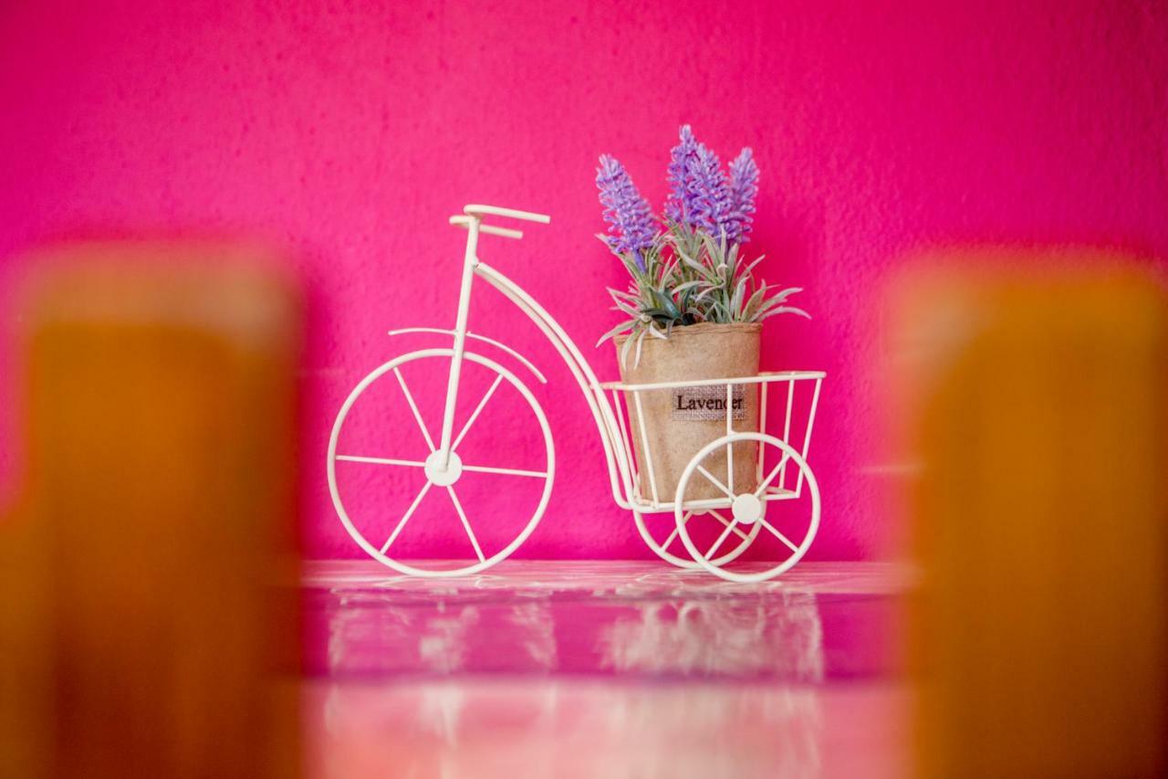 Anthe Holiday home