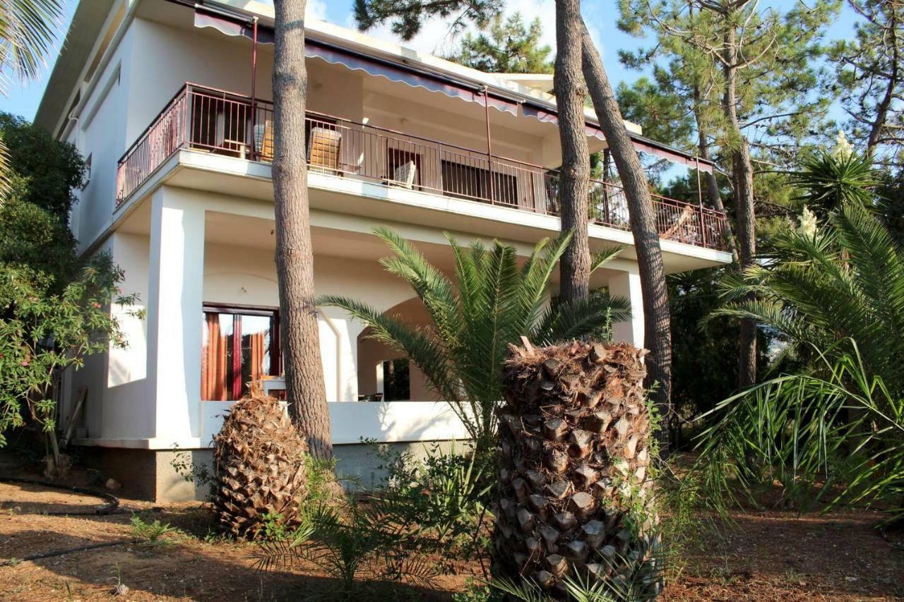 Matina 2 Kyparissia