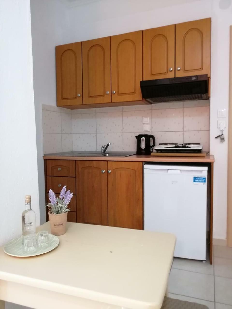 Achilleas Apartment Paralia Skotinis