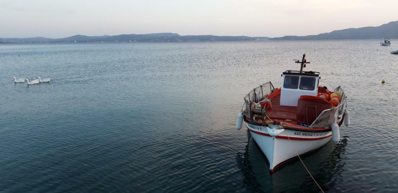 Guest house Katerina Adamantas (Milos)