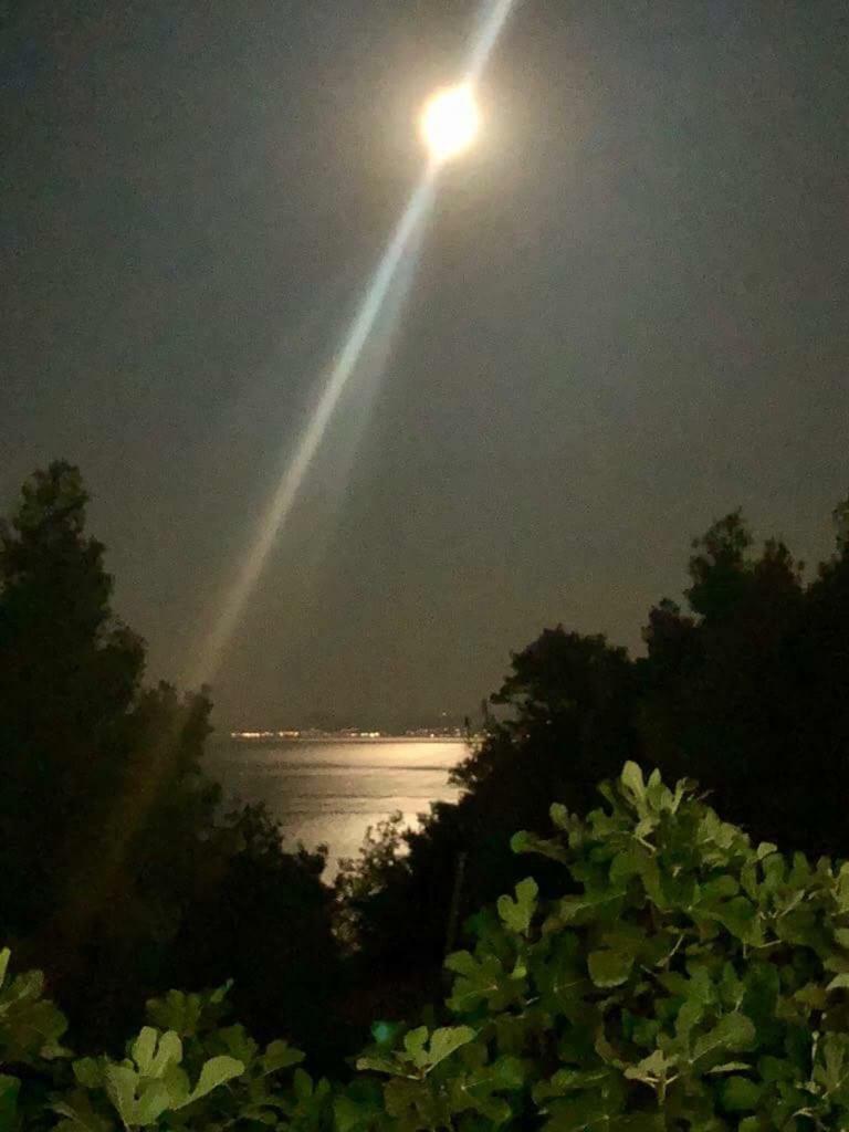 Aelia Sea View
