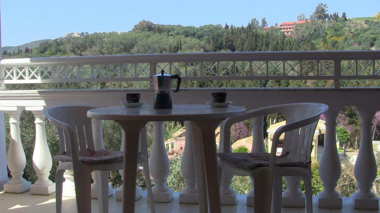 Danai Apartment Agios Georgios Pagon