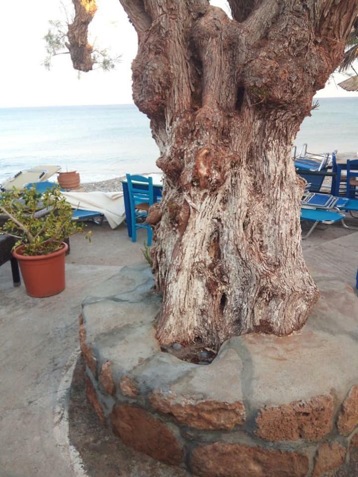 Beachfront Kato