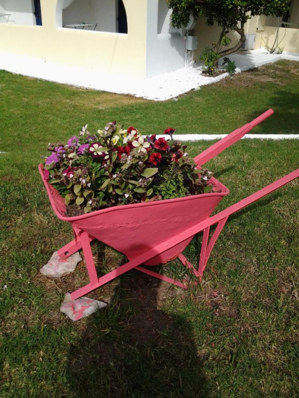 Maistrali