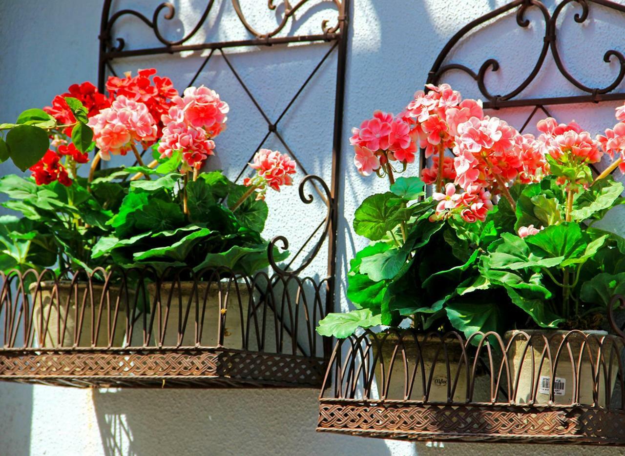 Hotel Boutique Kentrikon & Agios Ioannis (Thessaly)