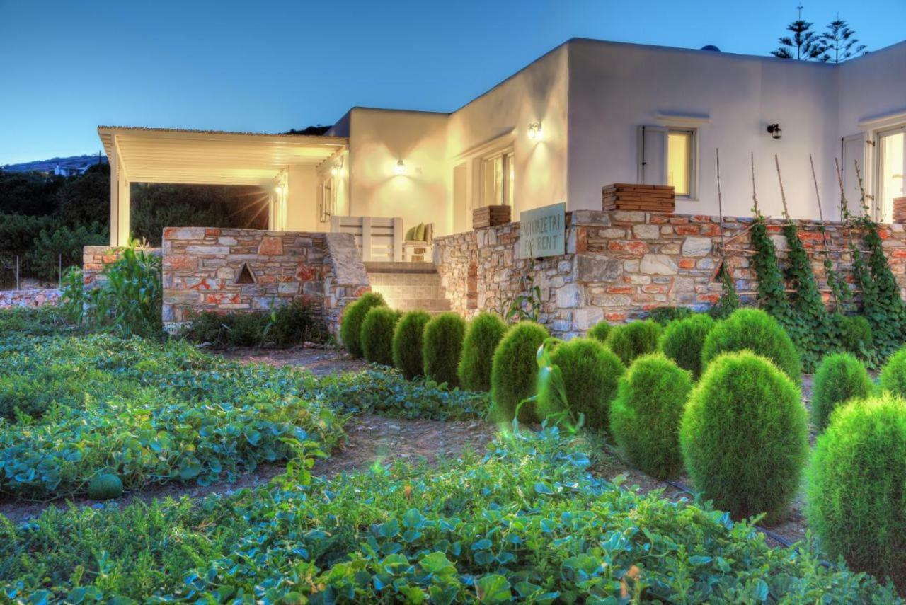 Villa Seaside Ktima Kaparos Paros