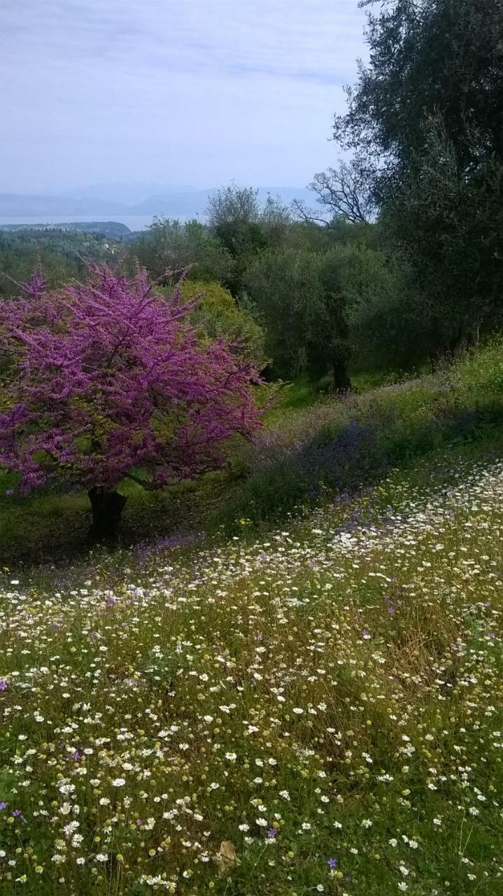 Holiday home Kardami -country House