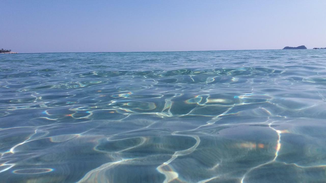 Aparthotel Tasos Chrysi Ammoudia