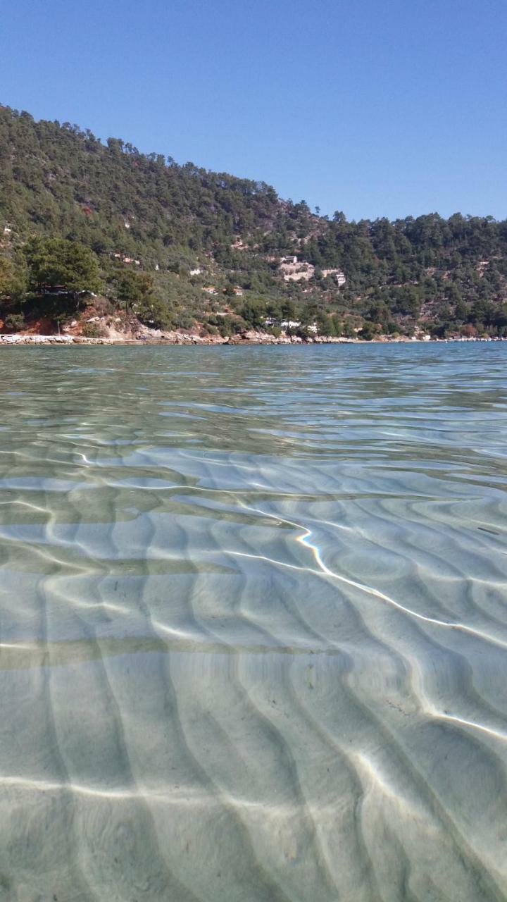 Tasos