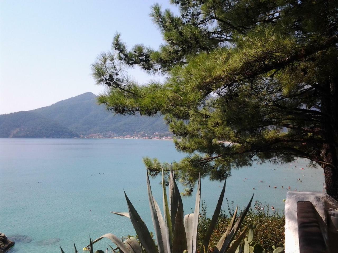 Aparthotel Tasos *