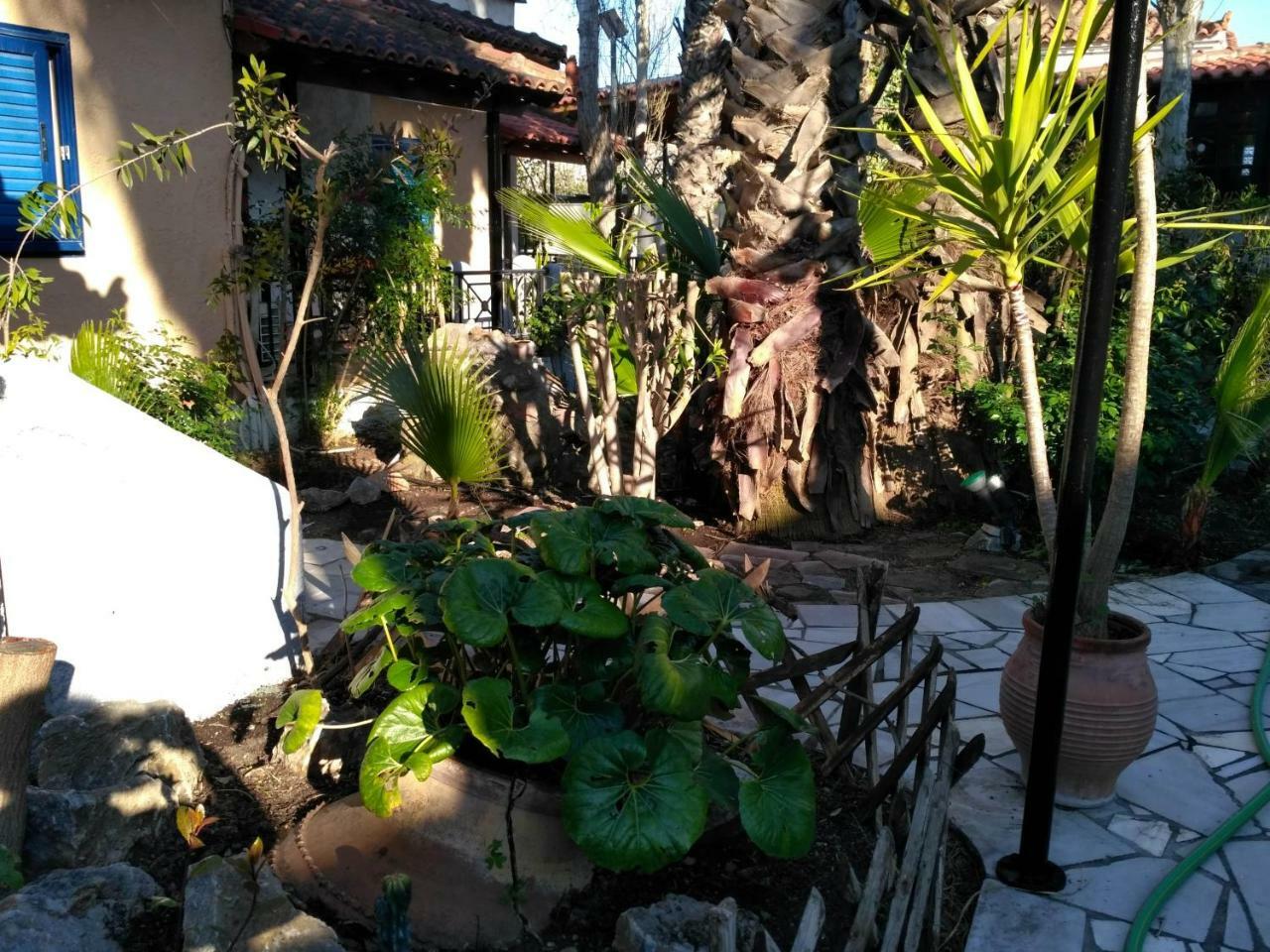 9 Musses Aparthotel 2*