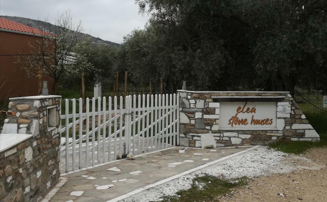 Elea Stone In Organic Quiet Olive Grove, Prinos, Thassos