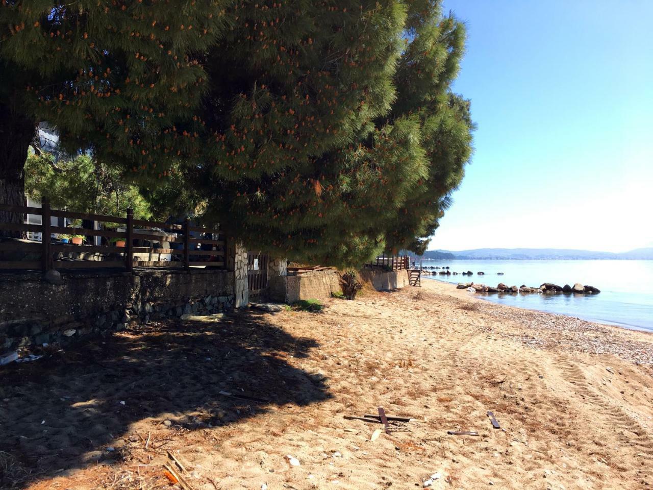 The House By The Sea Apartment *