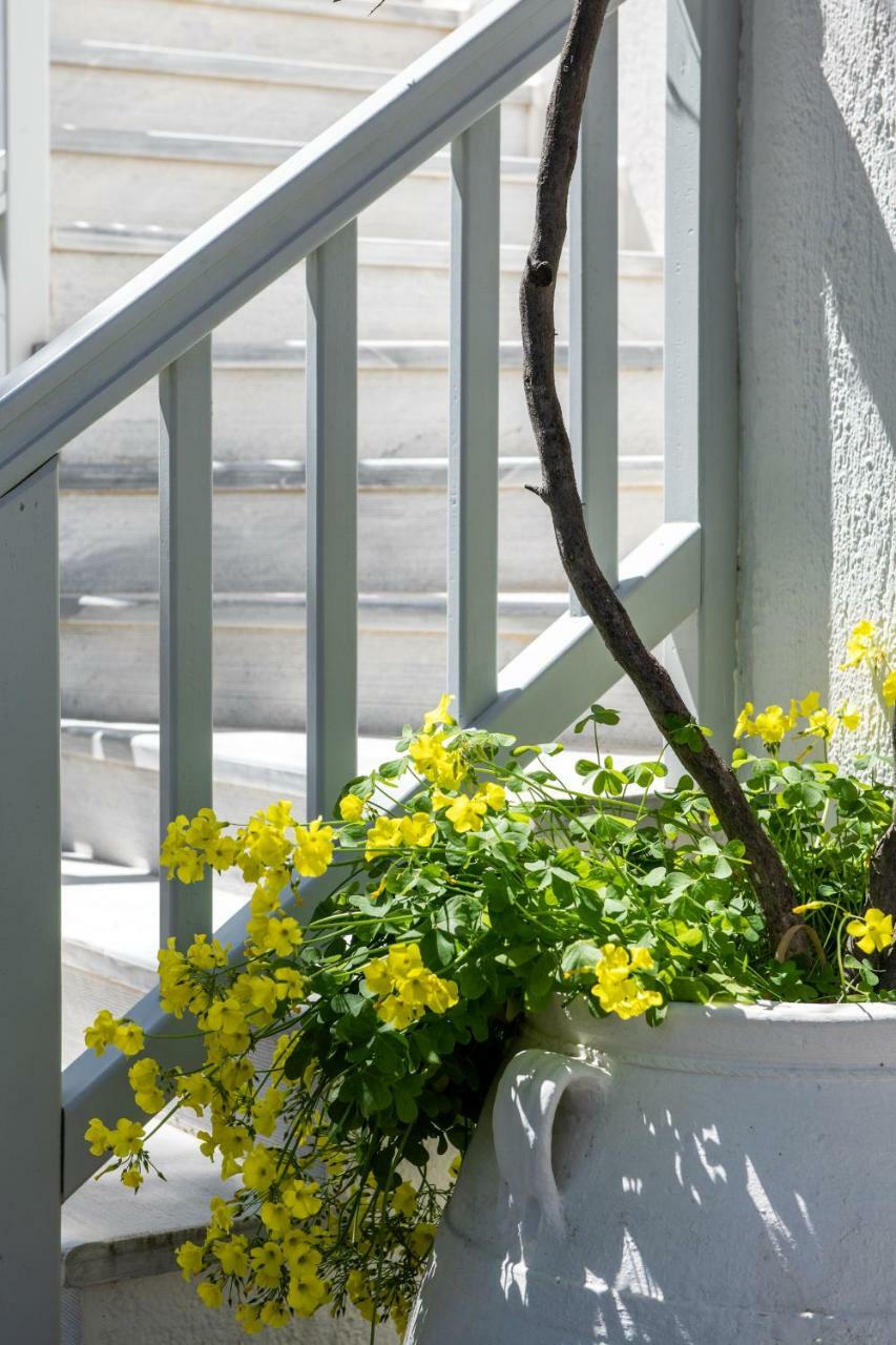 Secret Garden Apartment *