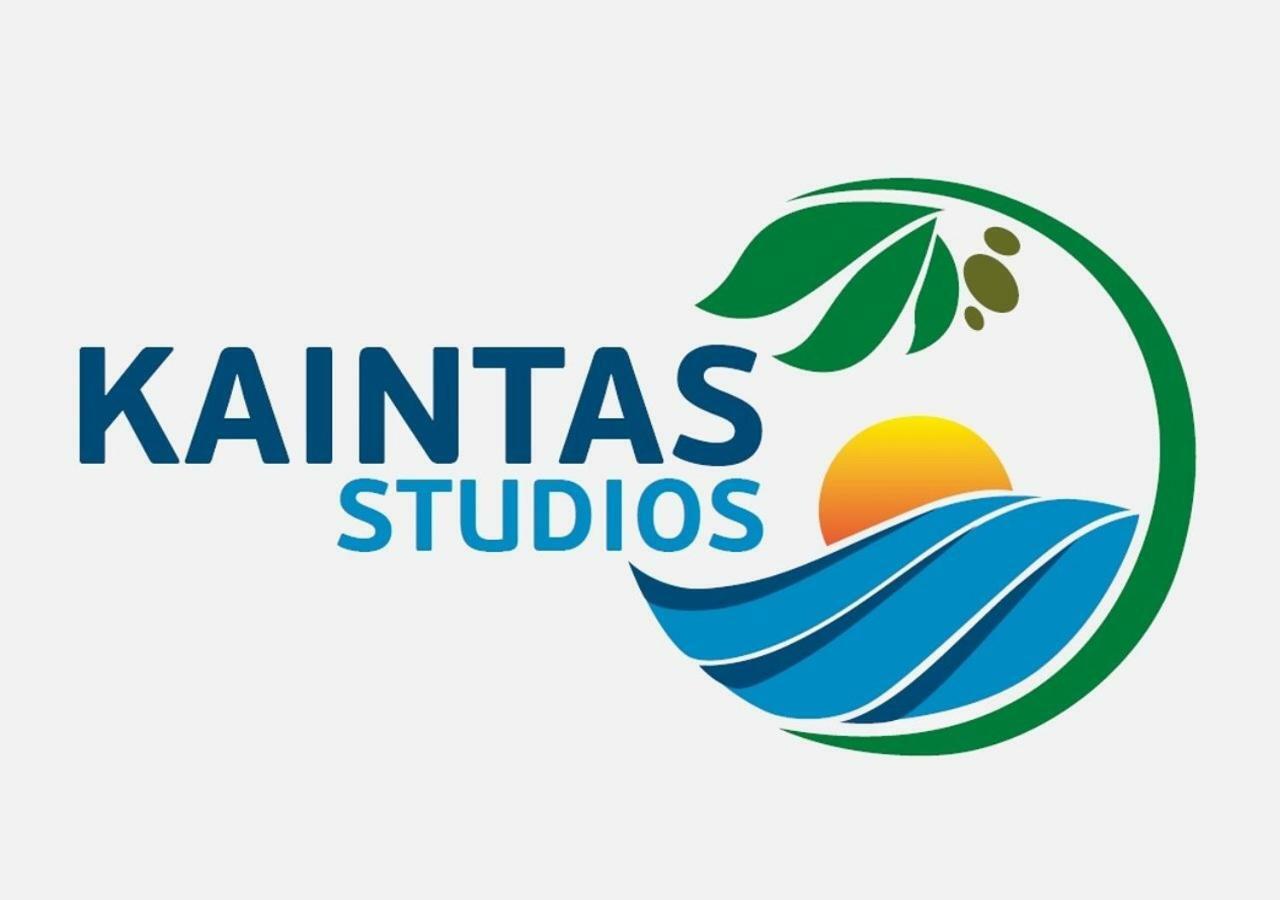Studios Kaintas Apartment Agia Paraskevi (Kassandra)
