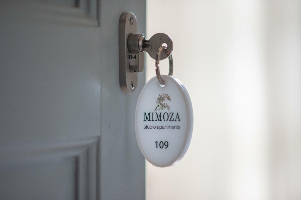 Guest house Mimoza 3*