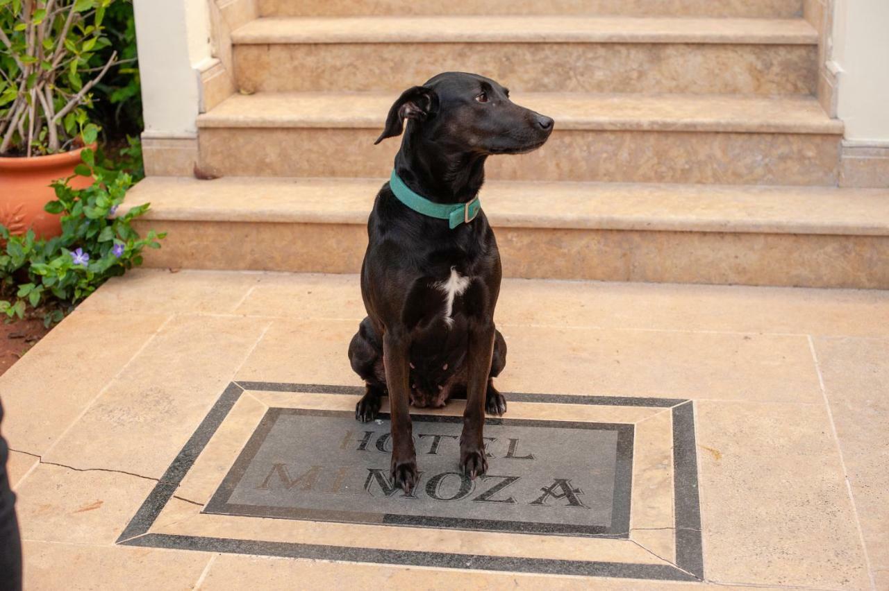 Mimoza Guest house 3*