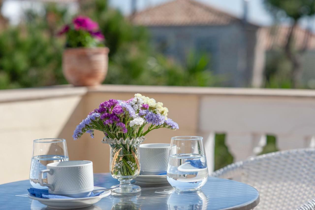 Guest house Mimoza 3*