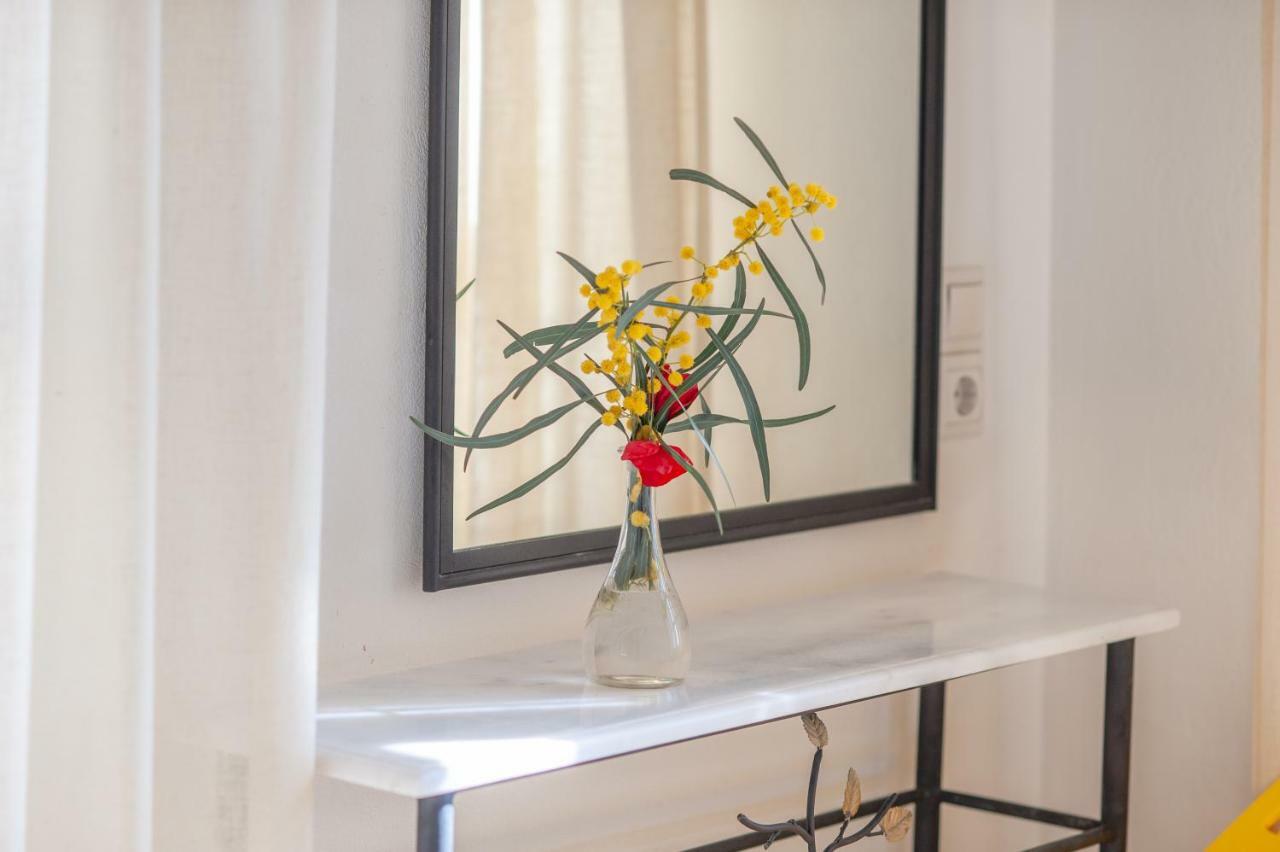 Guest house Mimoza 3*
