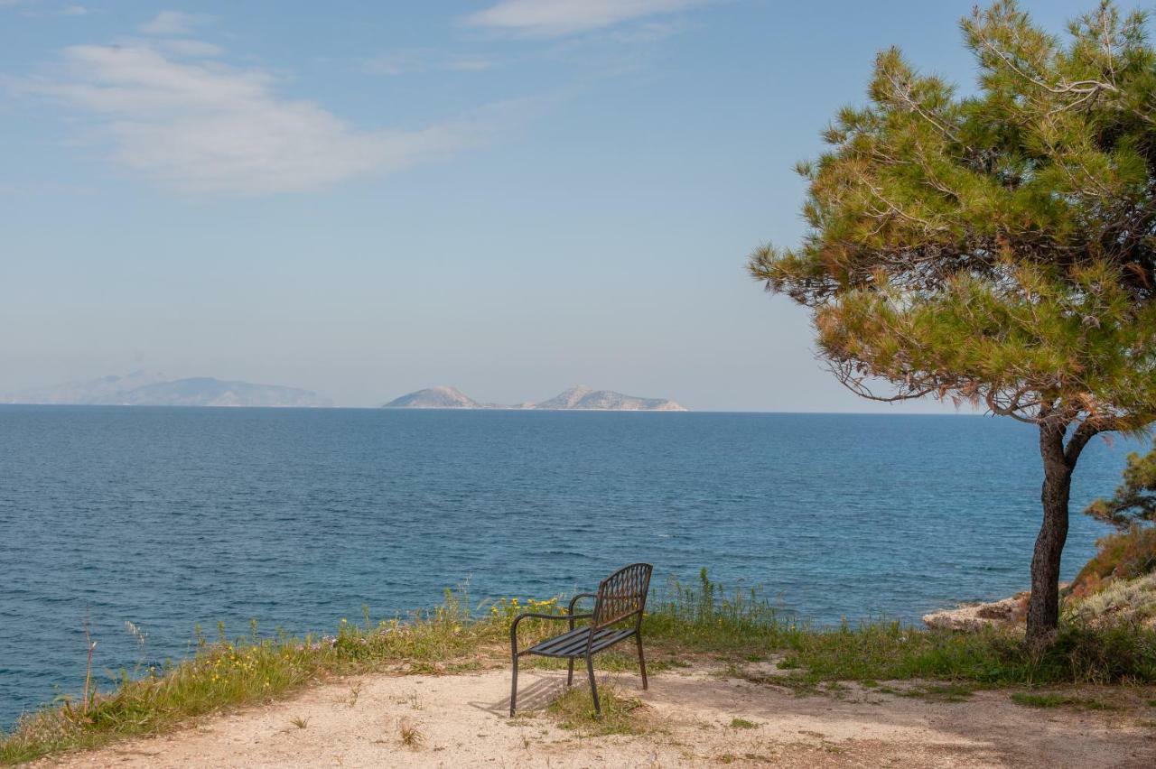 Guest house Mimoza