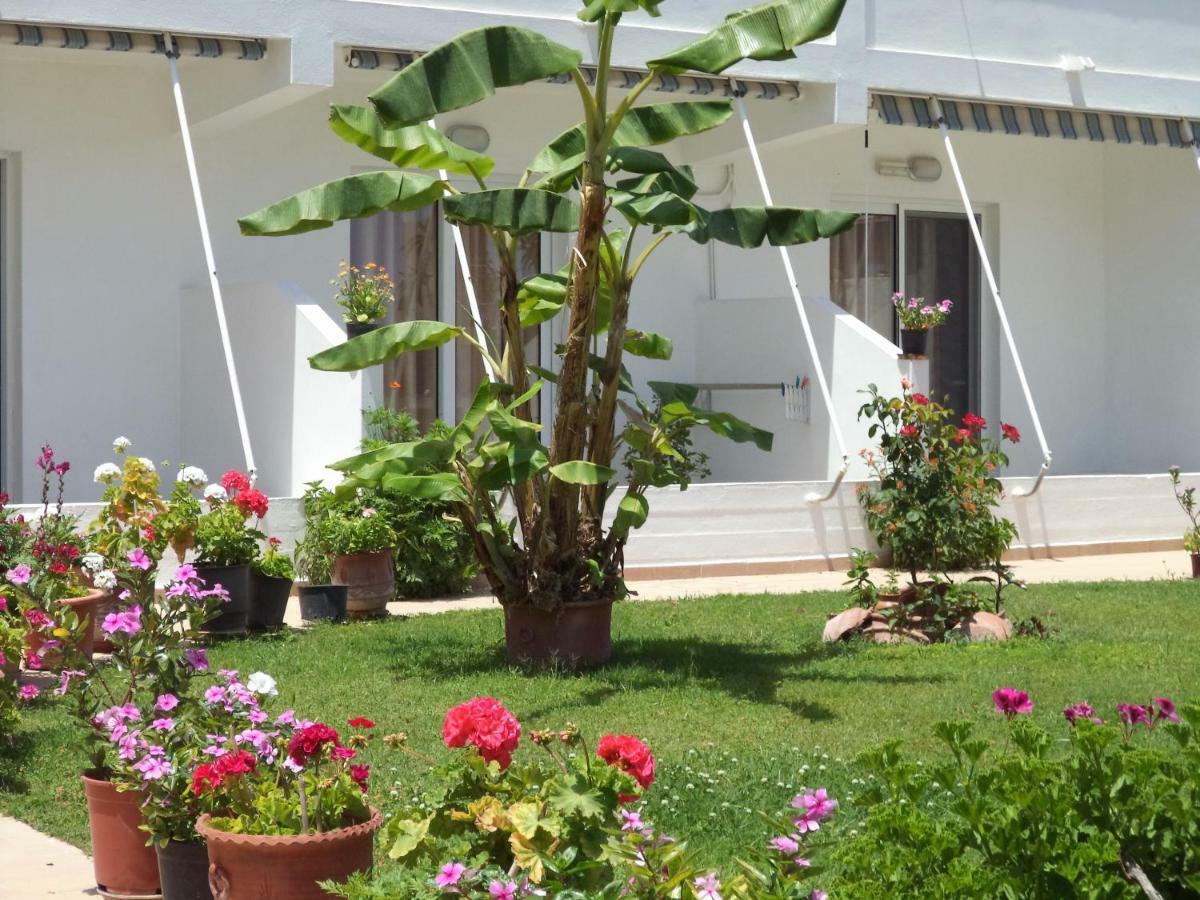 Antonios Apartment Archangelos (Rhodes)