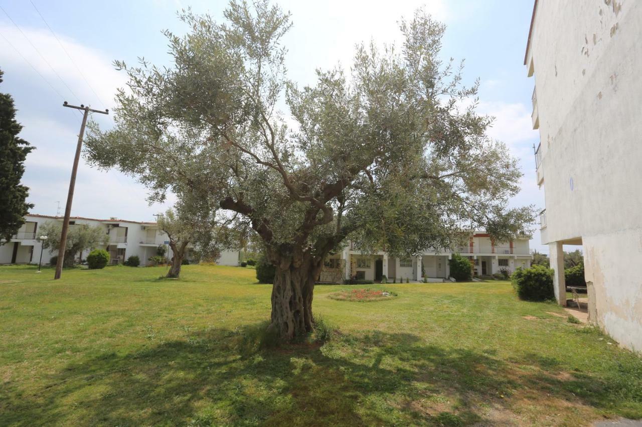 Apartment Gerakina Coast *